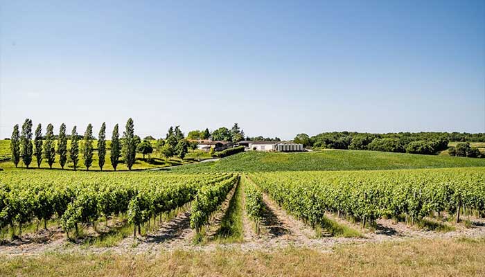 Domaine-de-la-Prenellerie-Salon-du-Vin---Rochefort